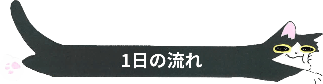 1日の流れ